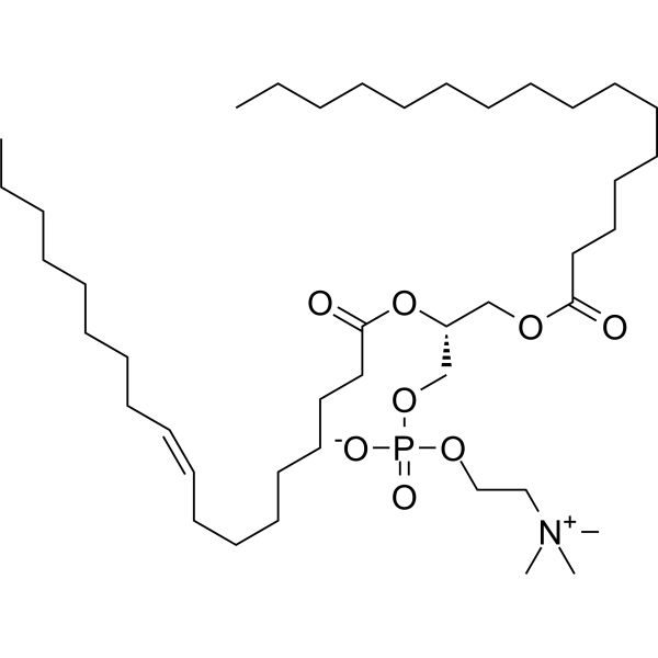 1-Palmitoyl-2-oleoyl-sn-glycero-3-PC 26853-31-6